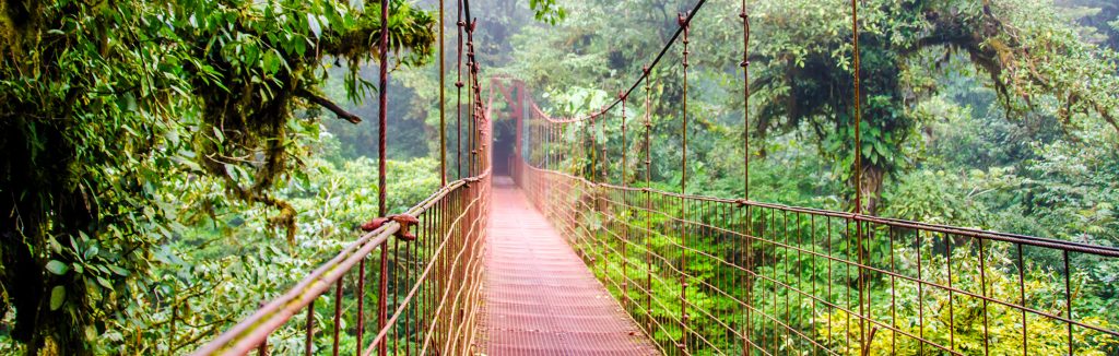 Canopy walkway in Costa Rican forest, costa rica performance tours