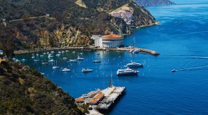 Harbor of Catalina Island