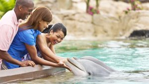 SeaWorld of San Antonio