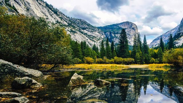 School trips to Yosemite