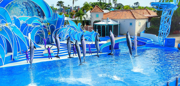 Sea World in San Diego