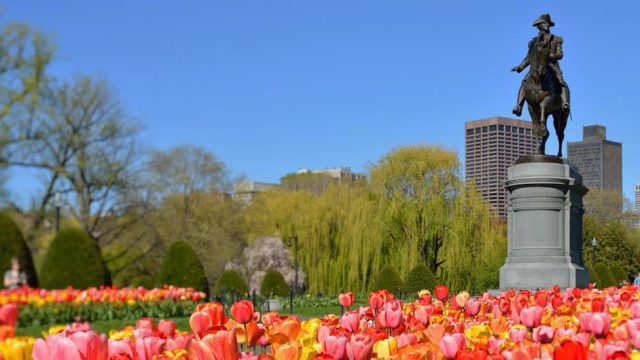 Student performance tours to boston common