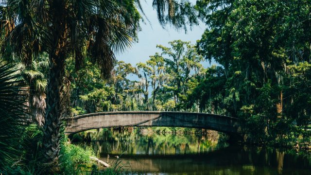trip to new orleans