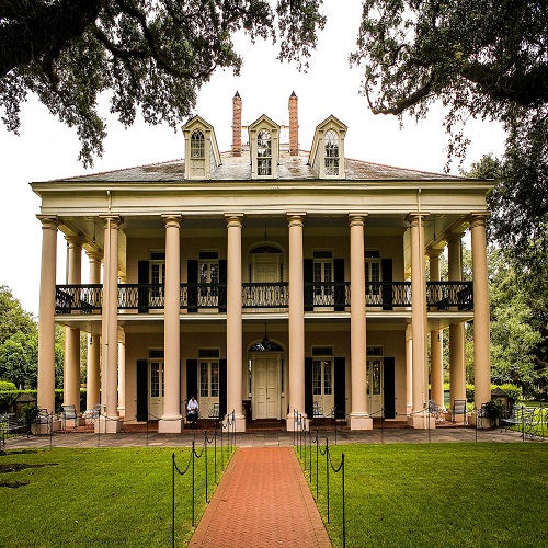 oak plantation