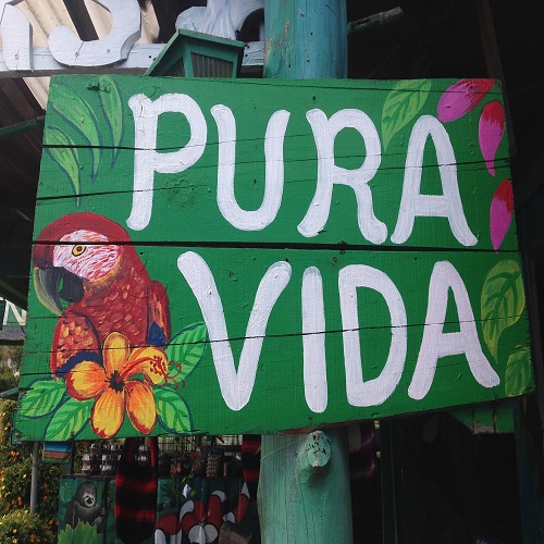 pure vida sign