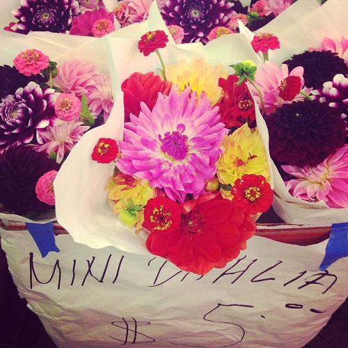 flowers for sale