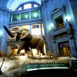 boston symphony performance tours