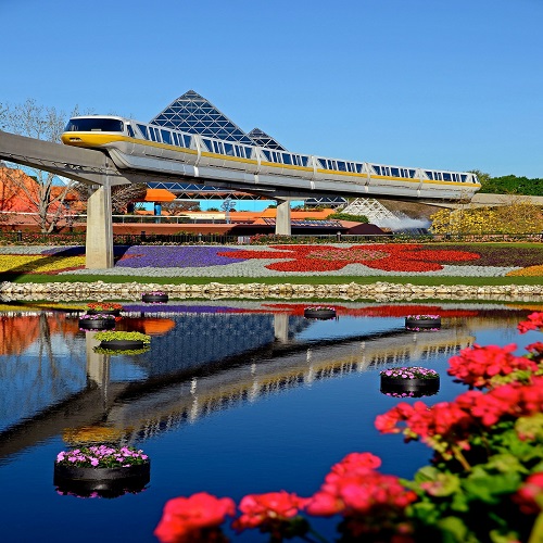 tram in theme park